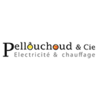 Logo Pellouchoud & Cie