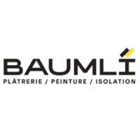 Logo Baumli Daniel SA